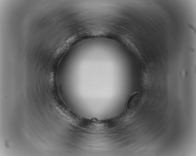 X0000101960260200808011114