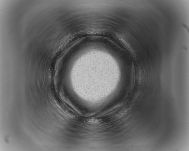 X0000101960261200808011114