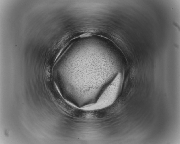 X0000101960264200808011114