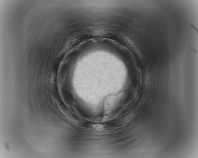 X0000101960265200808011114