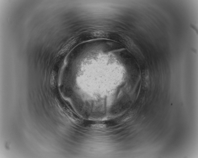 X0000101960266200808011114