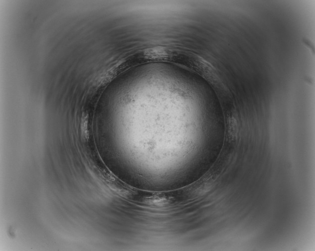 X0000101960267200808011114