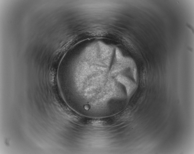 X0000101960268200808011114