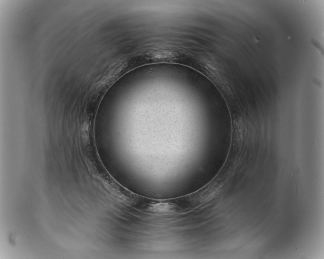 X0000101960269200808011114