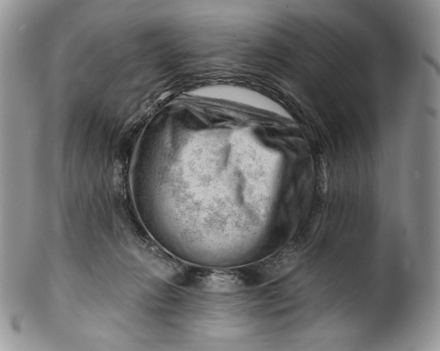 X0000101960270200808011114