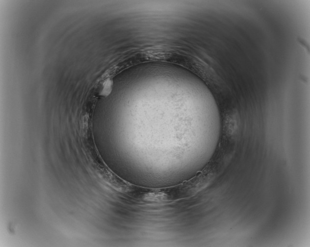 X0000101960271200808011114