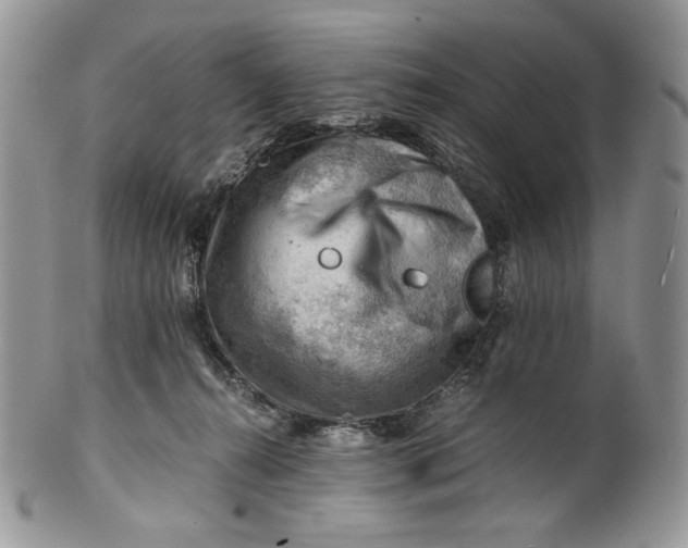 X0000101960272200808011114