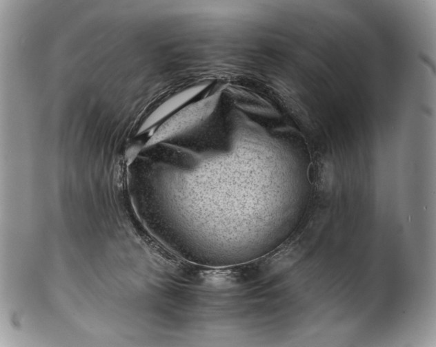 X0000101960273200808011114