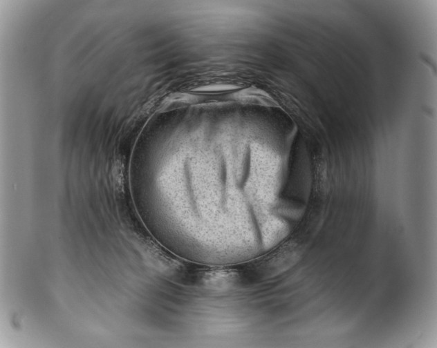 X0000101960274200808011114