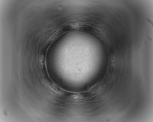 X0000101960275200808011114