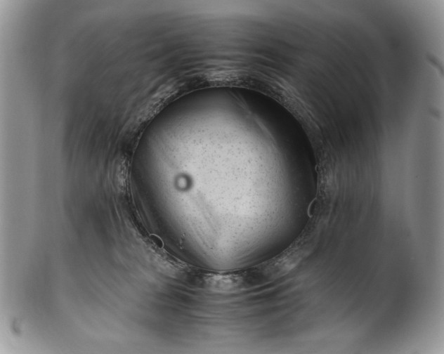 X0000101960277200808011114