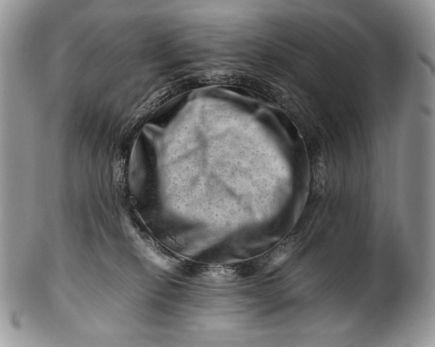 X0000101960278200808011114