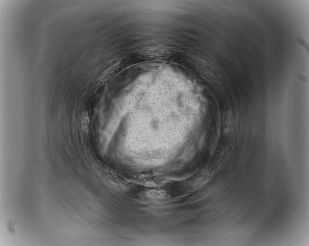 X0000101960279200808011114