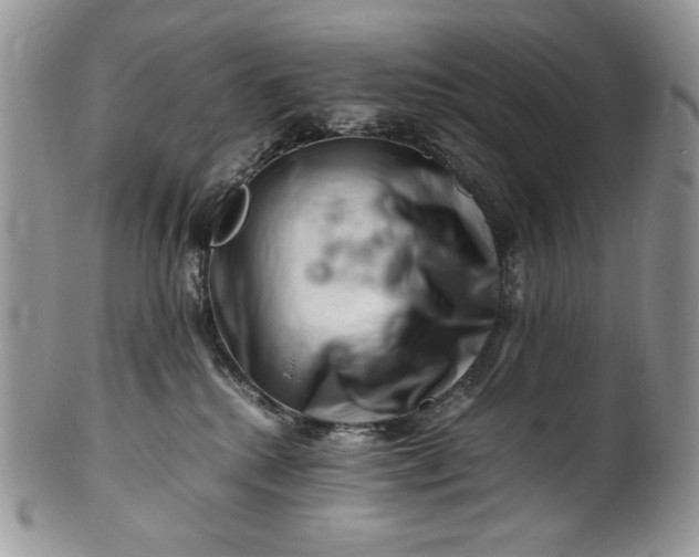 X0000101960280200808011115