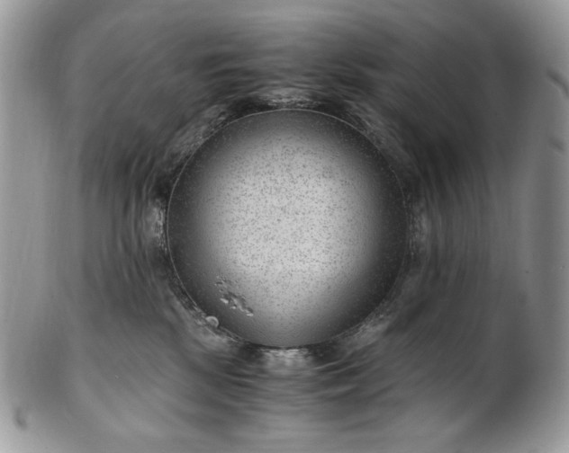 X0000101960281200808011115