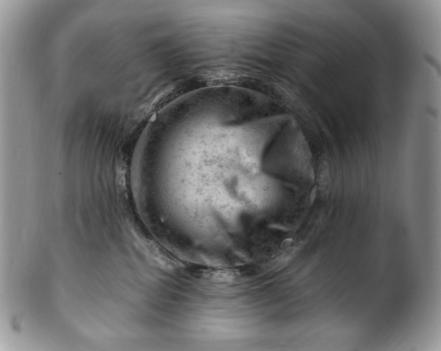 X0000101960282200808011115