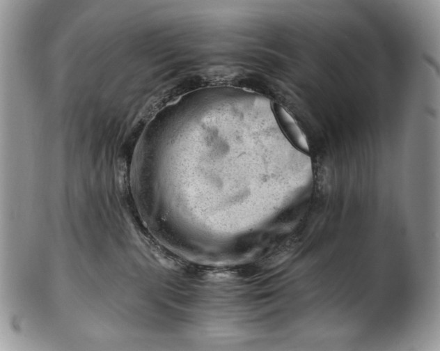 X0000101960283200808011115