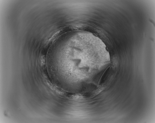 X0000101960284200808011115