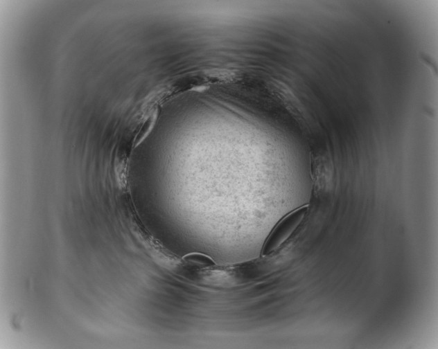 X0000101960285200808011115