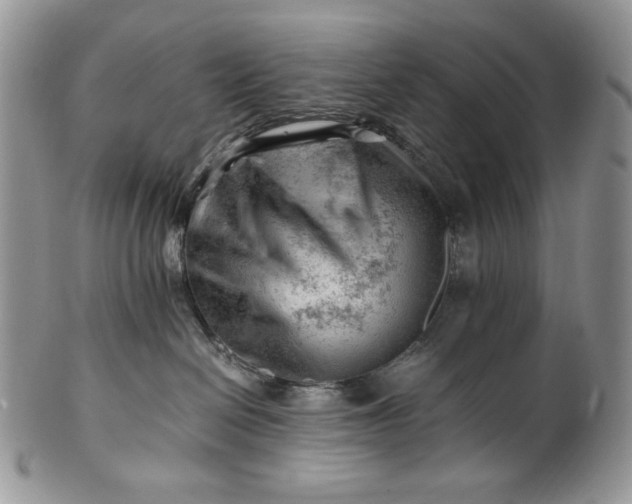 X0000101960286200808011115