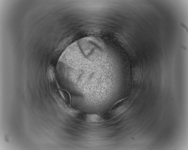 X0000101960287200808011115