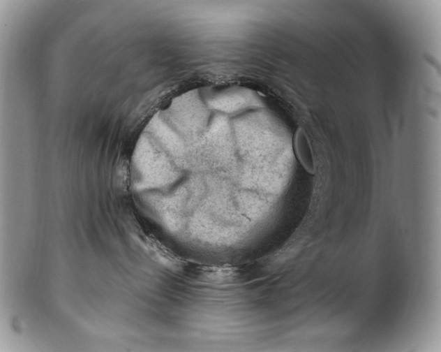 X0000101960288200808011115