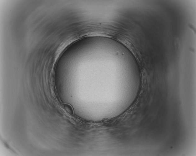 X0000101960289200808011114