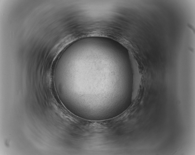 X0000101960290200808011114