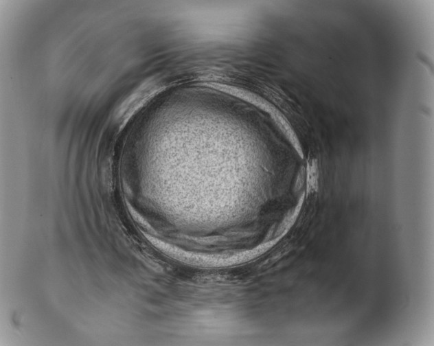 X0000101960291200808011114