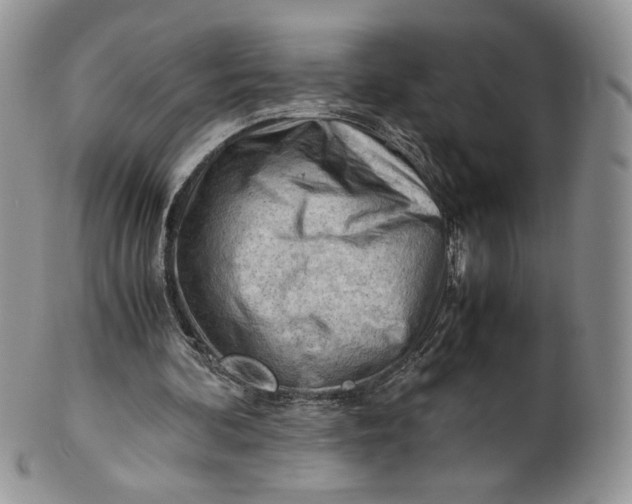 X0000101960292200808011114