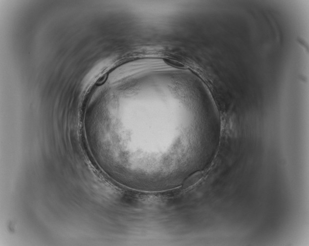 X0000101960293200808011114