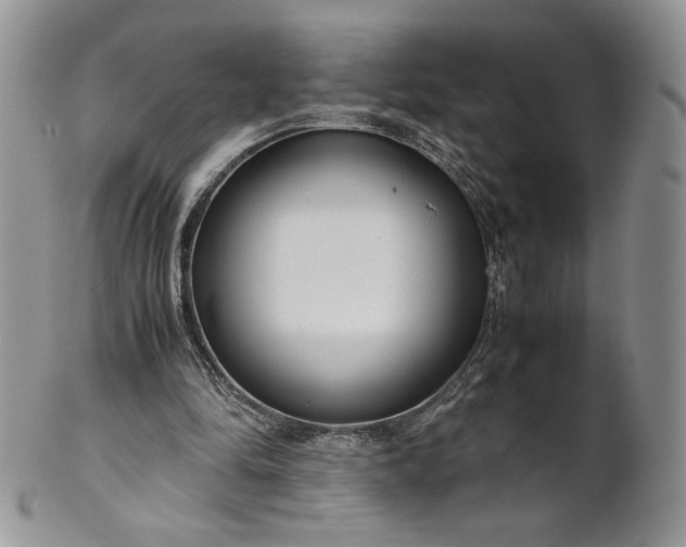 X0000101960294200808011114