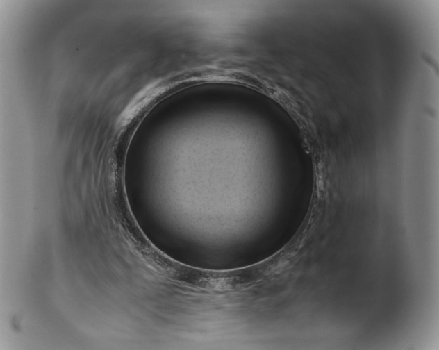 X0000101960295200808011114