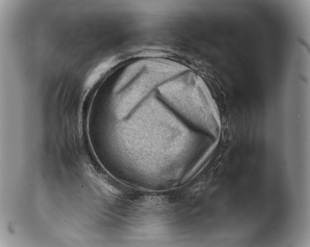 X0000101960296200808011114