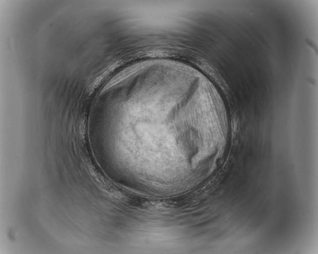 X0000101960297200808011114