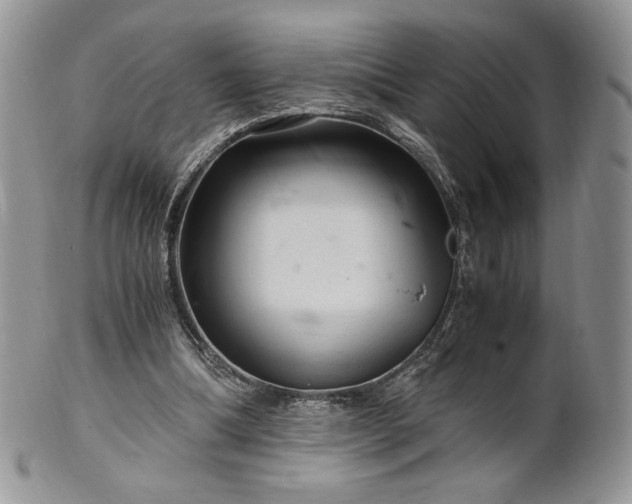 X0000101960298200808011114