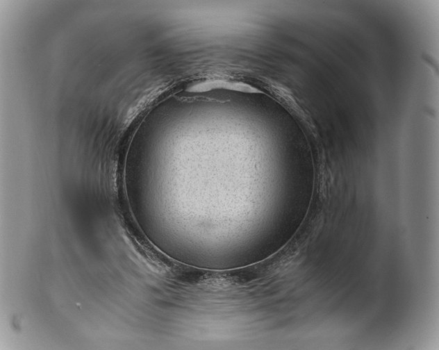 X0000101960299200808011114