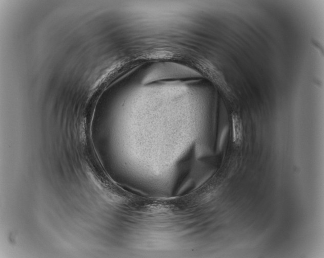 X0000101960300200808011114