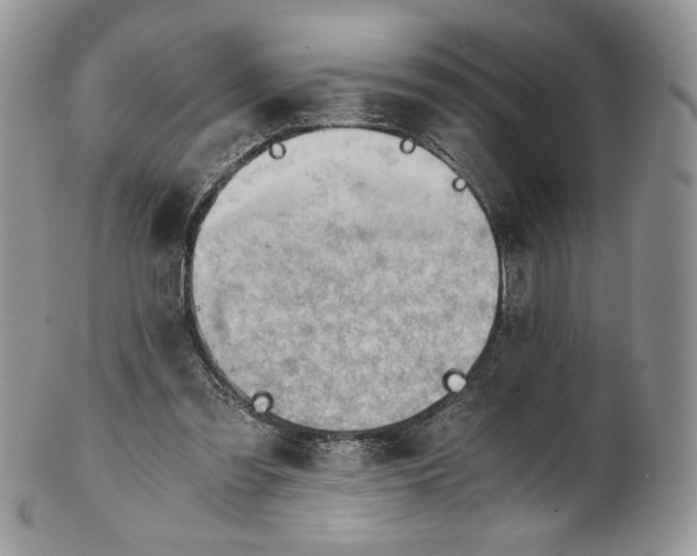 X0000101960301200808011114