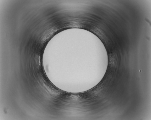 X0000101960302200808011114