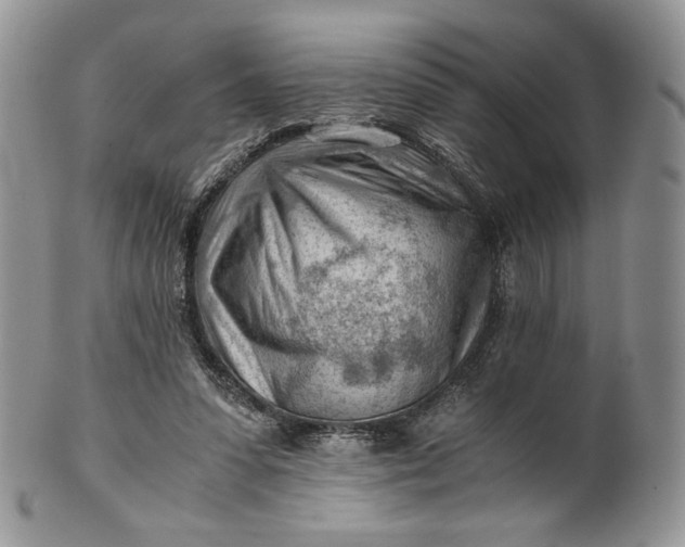 X0000101960303200808011114