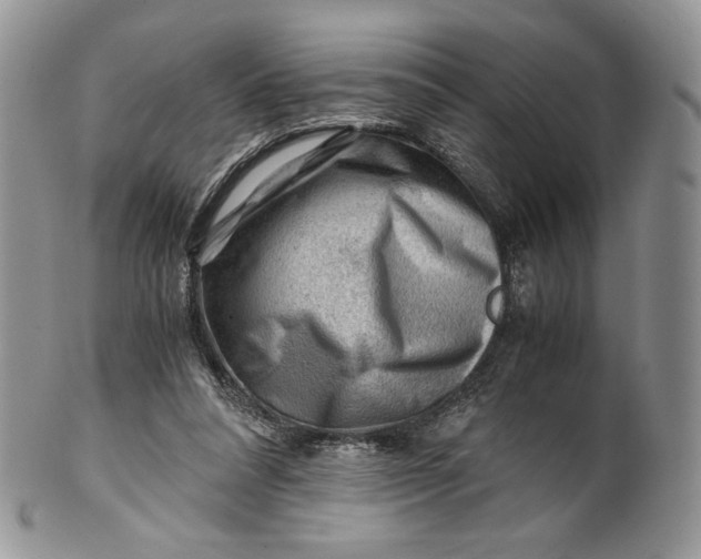 X0000101960304200808011114