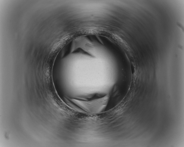 X0000101960306200808011114