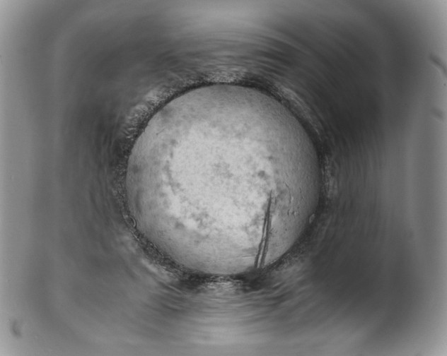 X0000101960307200808011114