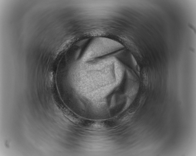 X0000101960308200808011114