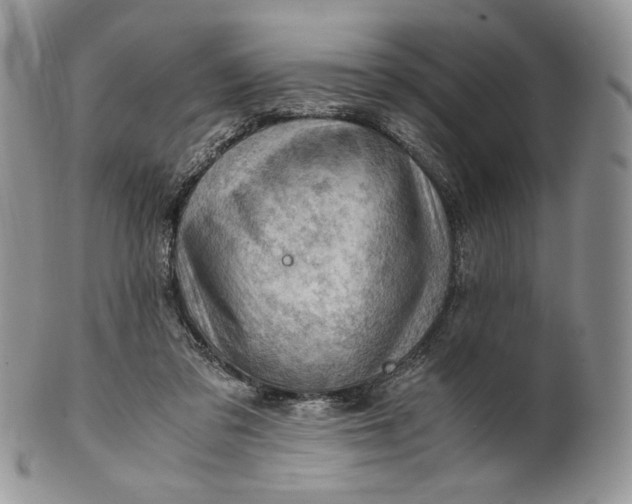 X0000101960309200808011114