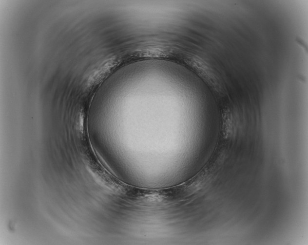 X0000101960310200808011114