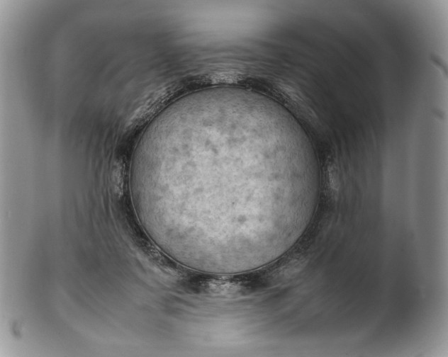 X0000101960311200808011114