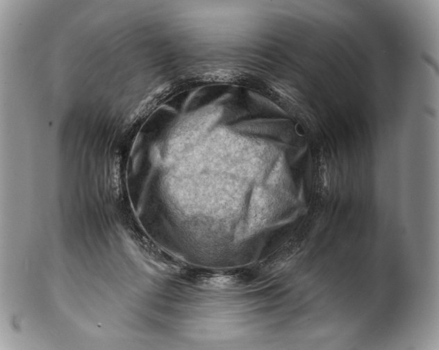 X0000101960312200808011114