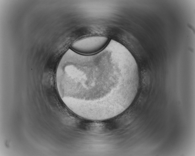 X0000101960313200808011114